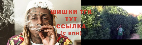 гидропоника Абаза